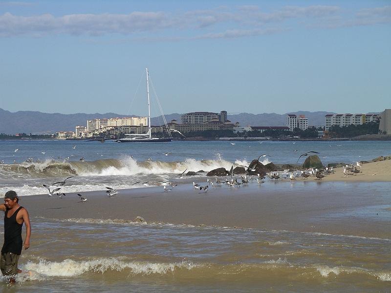 vallarta 001.jpg